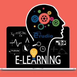 REQUISITI RELATIVI ALLE RISORSE PROFESSIONALI E PROFILI DI COMPETENZE PER I CORSI EROGATI IN E-LEARNING. SICUREZZA LAVORO. Corsi ASINCRONA.